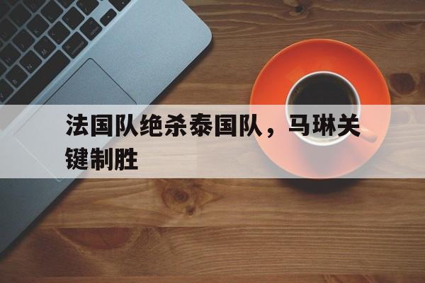 法国队绝杀泰国队，马琳关键制胜的简单介绍