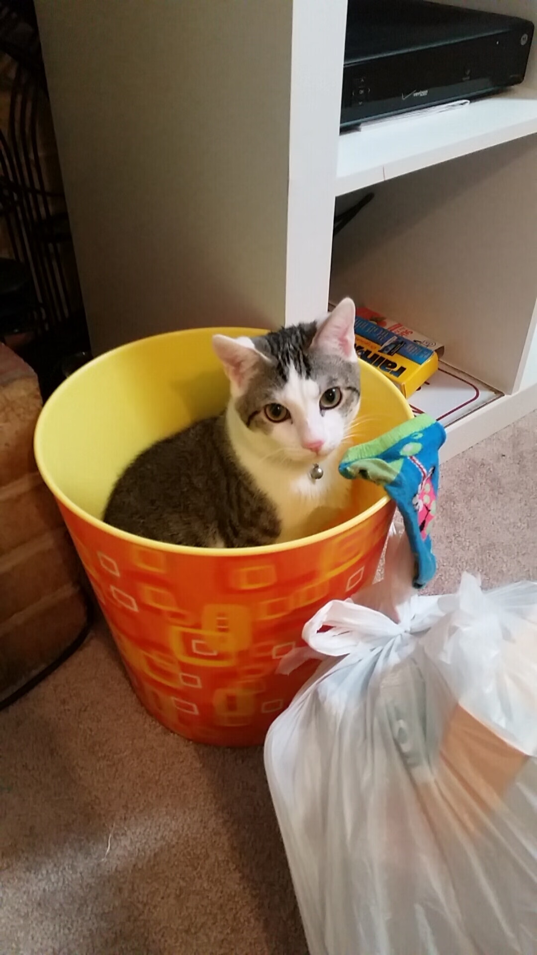 从马拉喀什到马德里，足球之夜的两种传奇