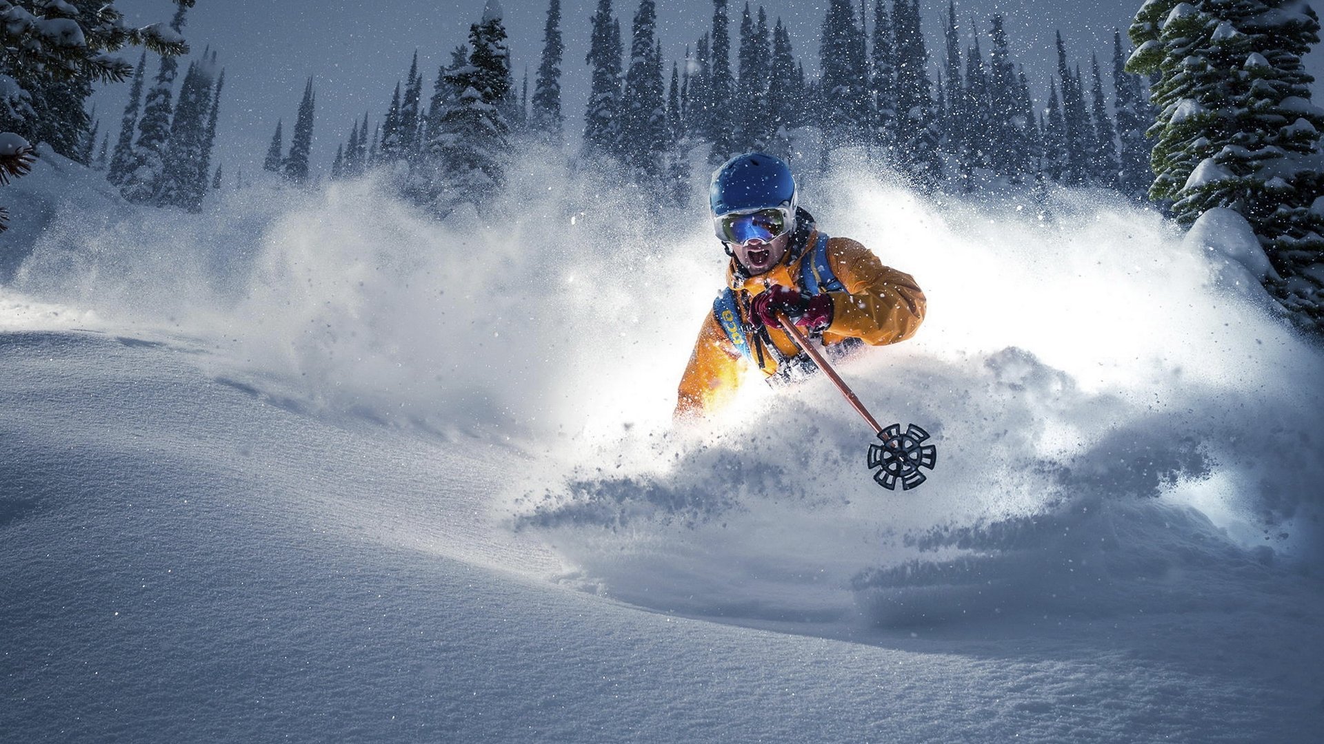 莱奥的独舞,当巴黎的雨夜,只为一人停驻